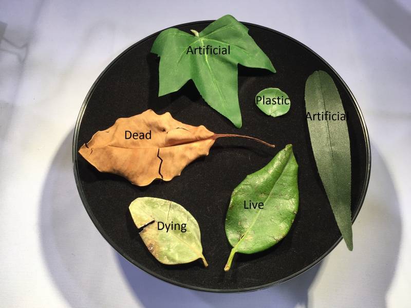 Caméras Multispectrales snapshot VIS-NIR pour applications industrielles, scientifiques ou drones