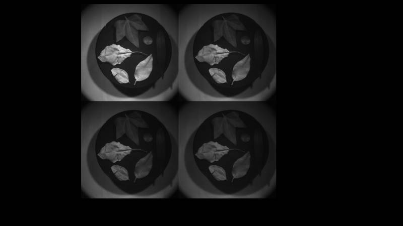 image multispectrale